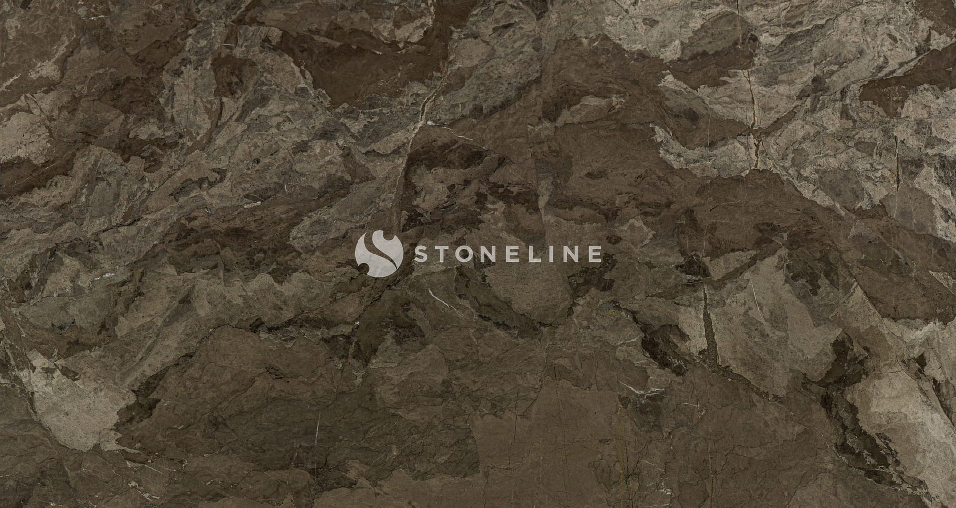 Brown textured rock surface, intricate patterns visible