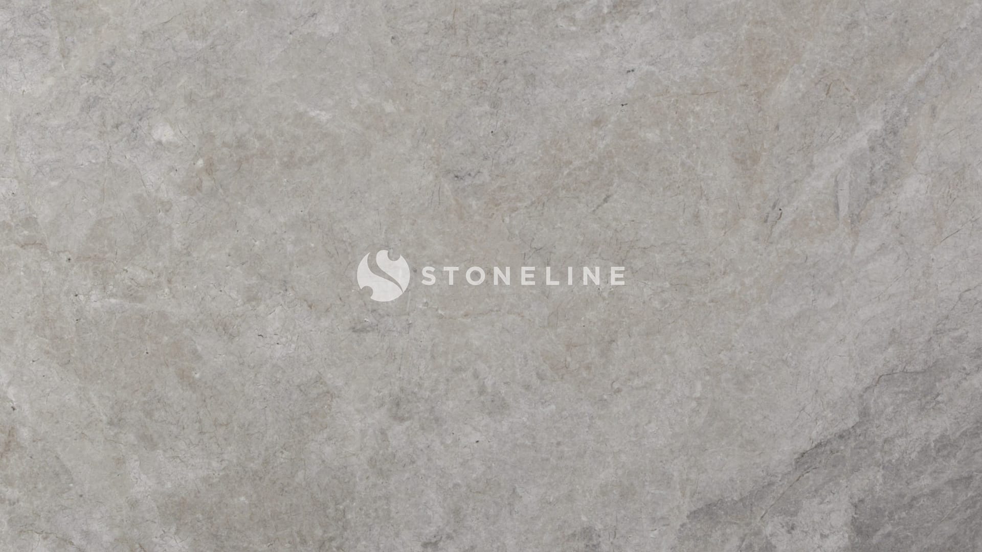 Gray marble texture close-up background