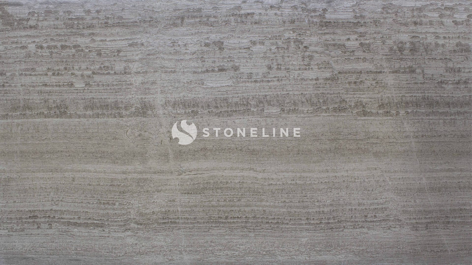 Close-up of textured gray stone surface.