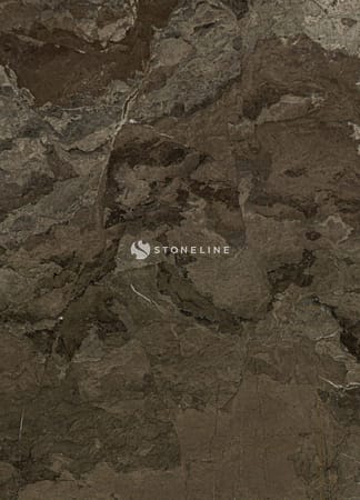 Brown textured rock surface, intricate patterns visible