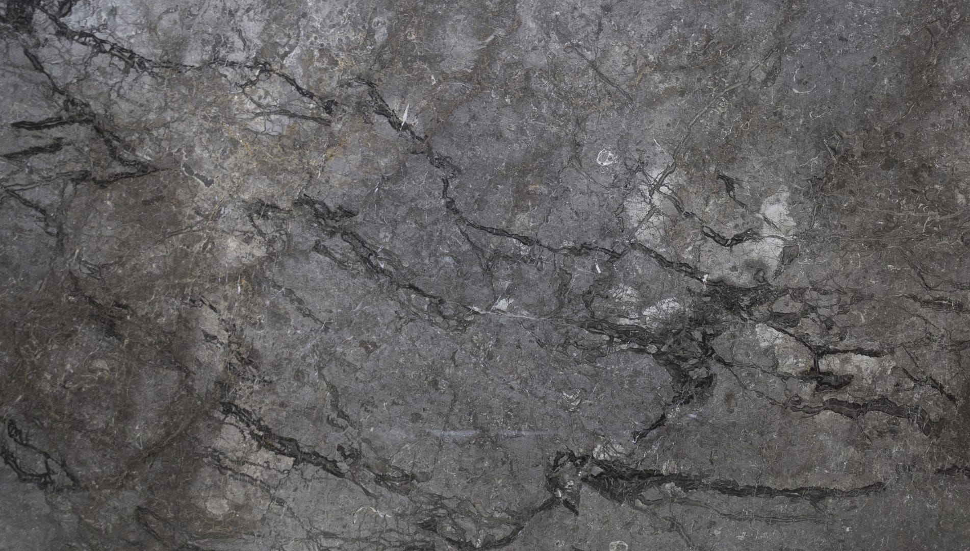 Gray marble texture with dark veins.