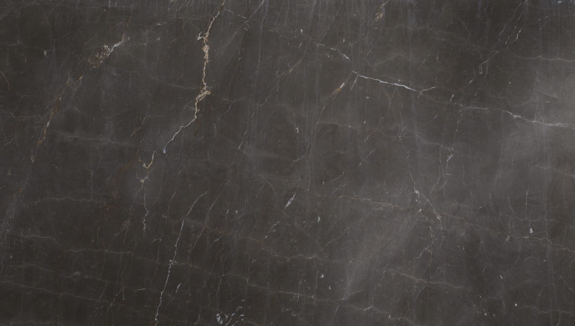 Dark marble texture with visible veins