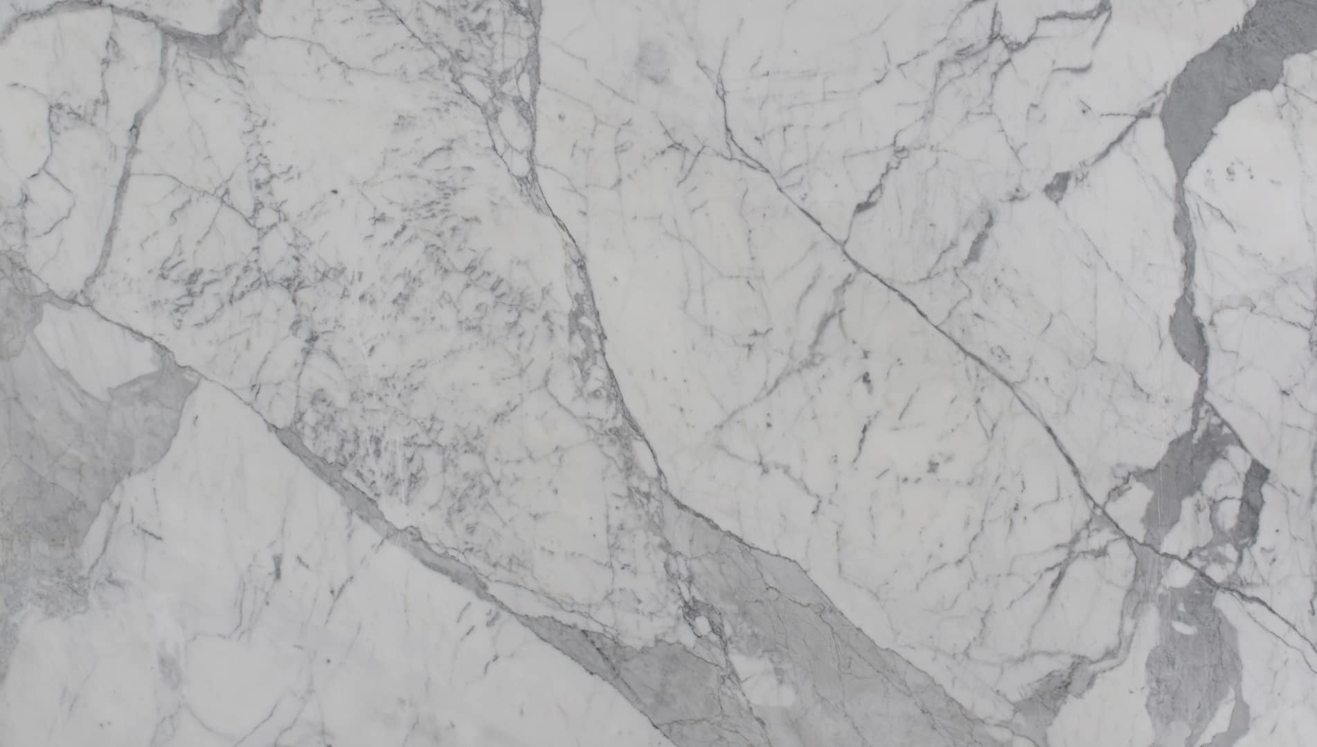 Close-up of white marble texture with veins.