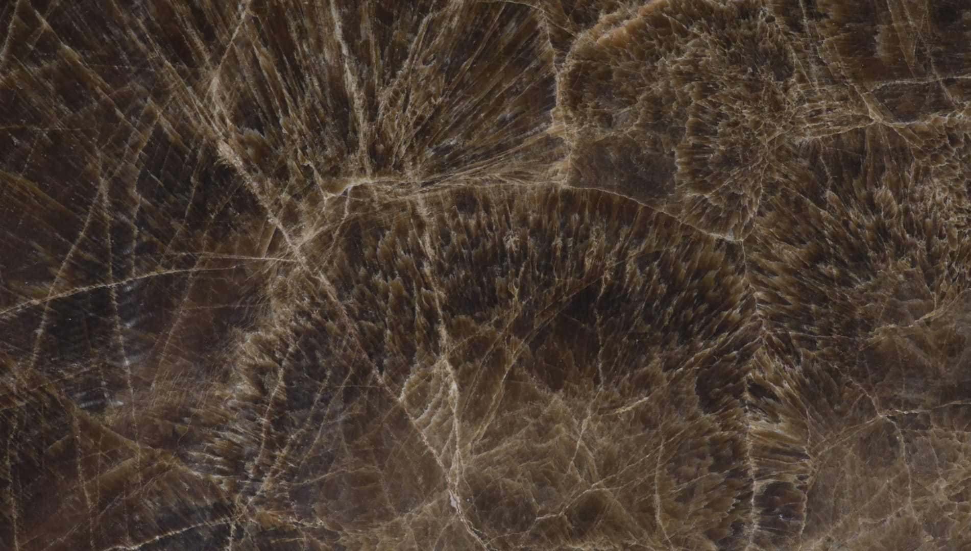 Close-up of textured dark brown marble surface