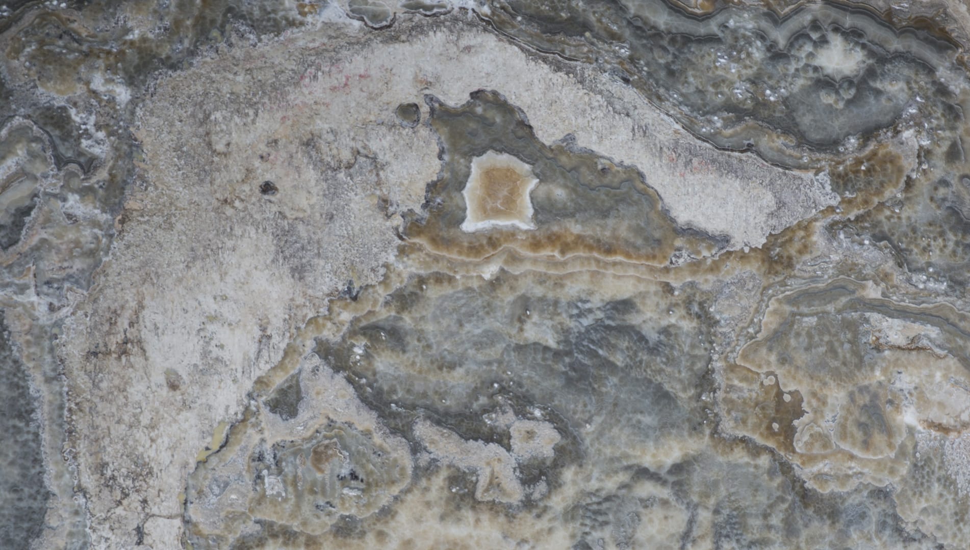 Close-up of textured gray and brown stone surface.