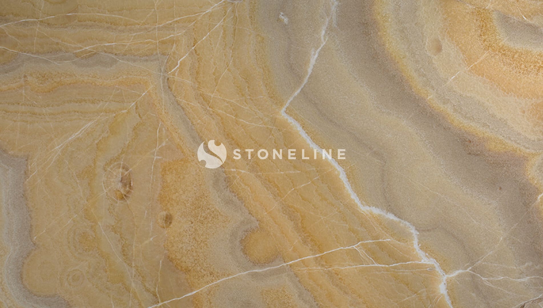 Close-up of polished marble texture with veins.