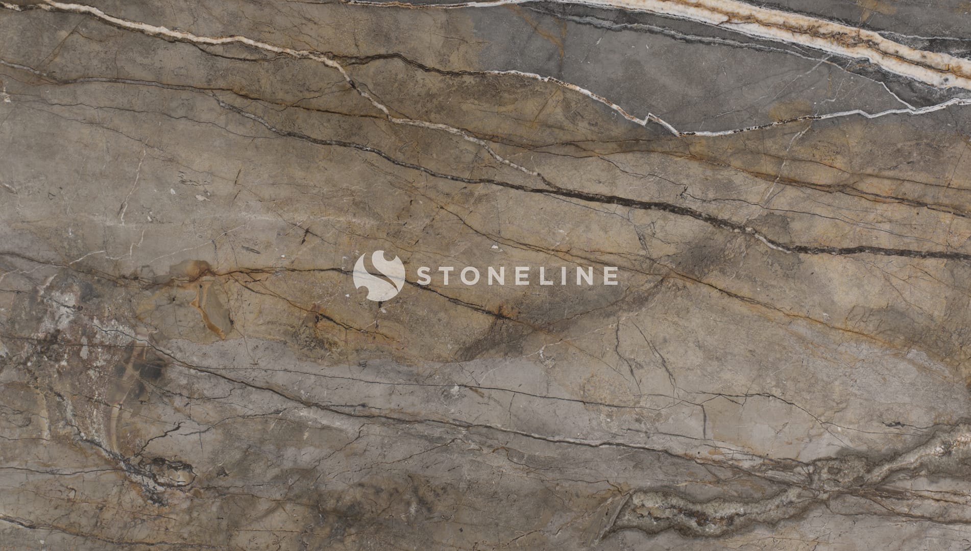 Close-up of textured gray and brown stone surface.