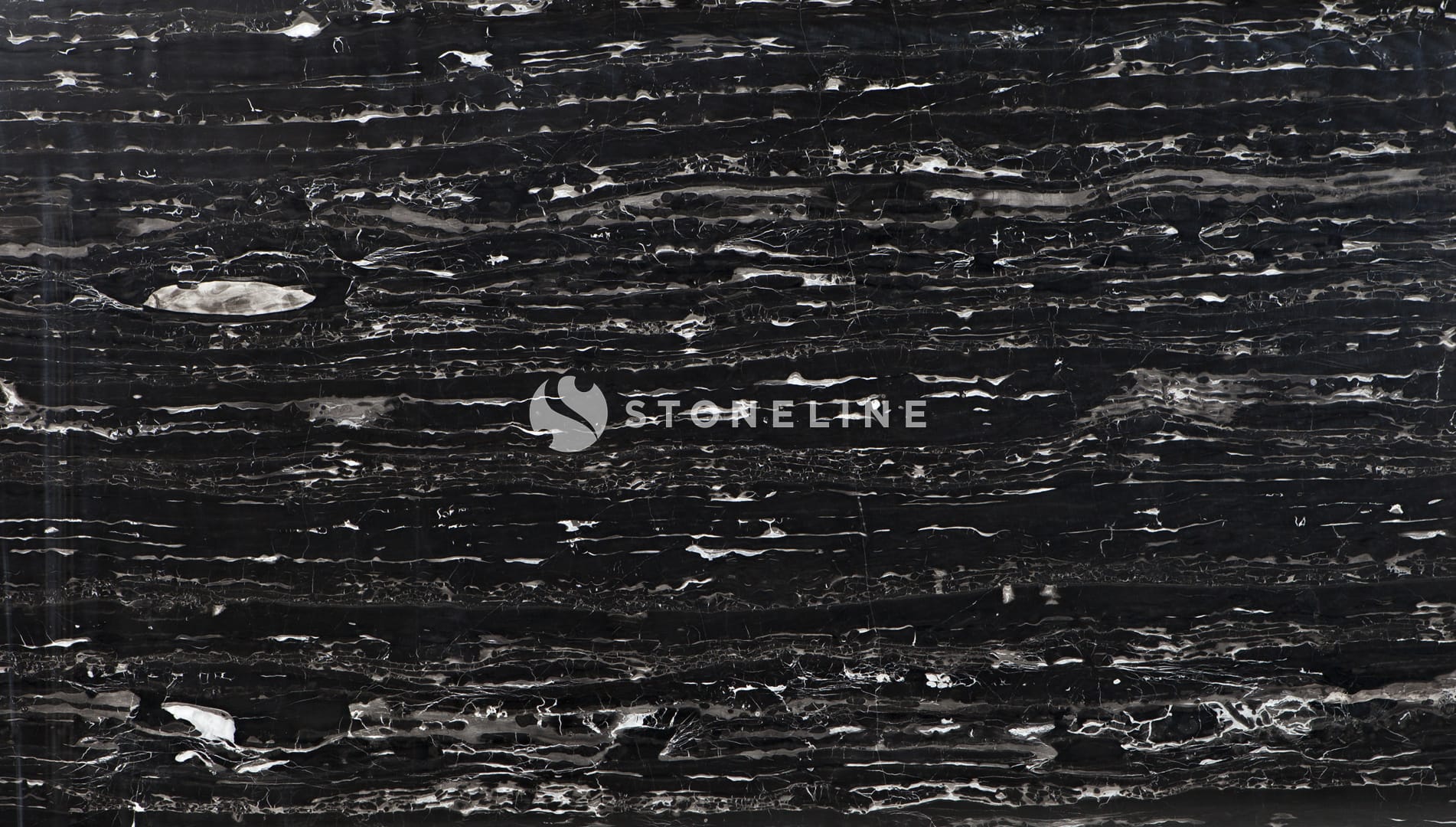 Polished black marble with white veins texture.