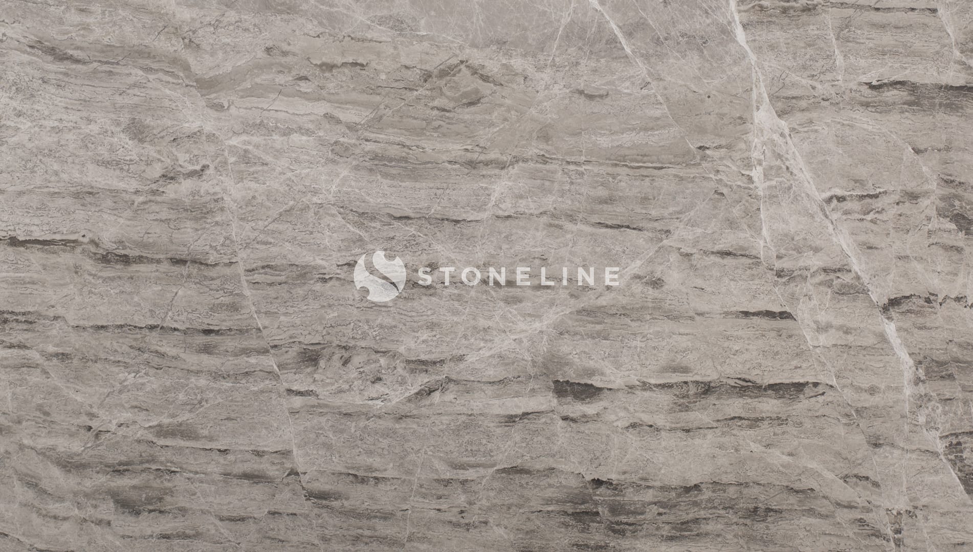 Close-up of gray marble texture with veins.