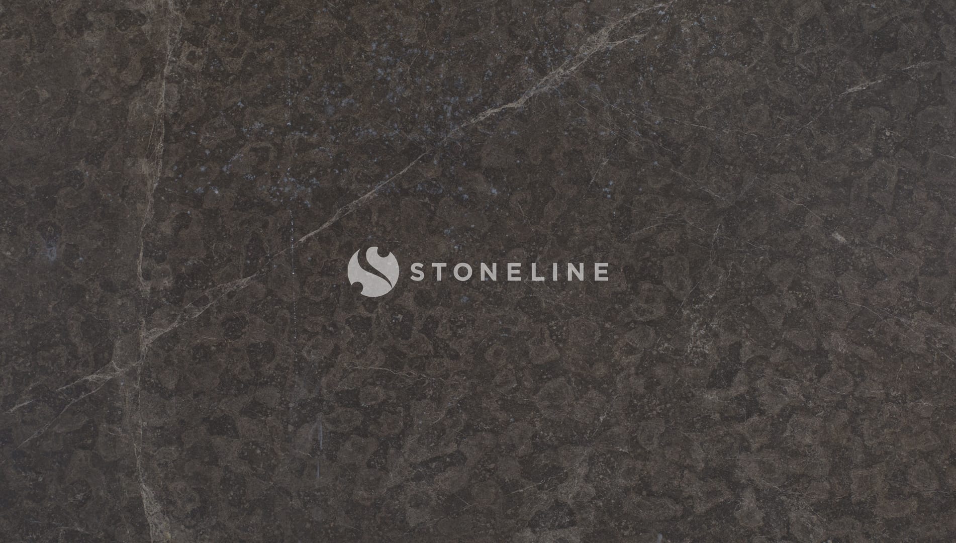 Dark textured stone surface with subtle patterns.