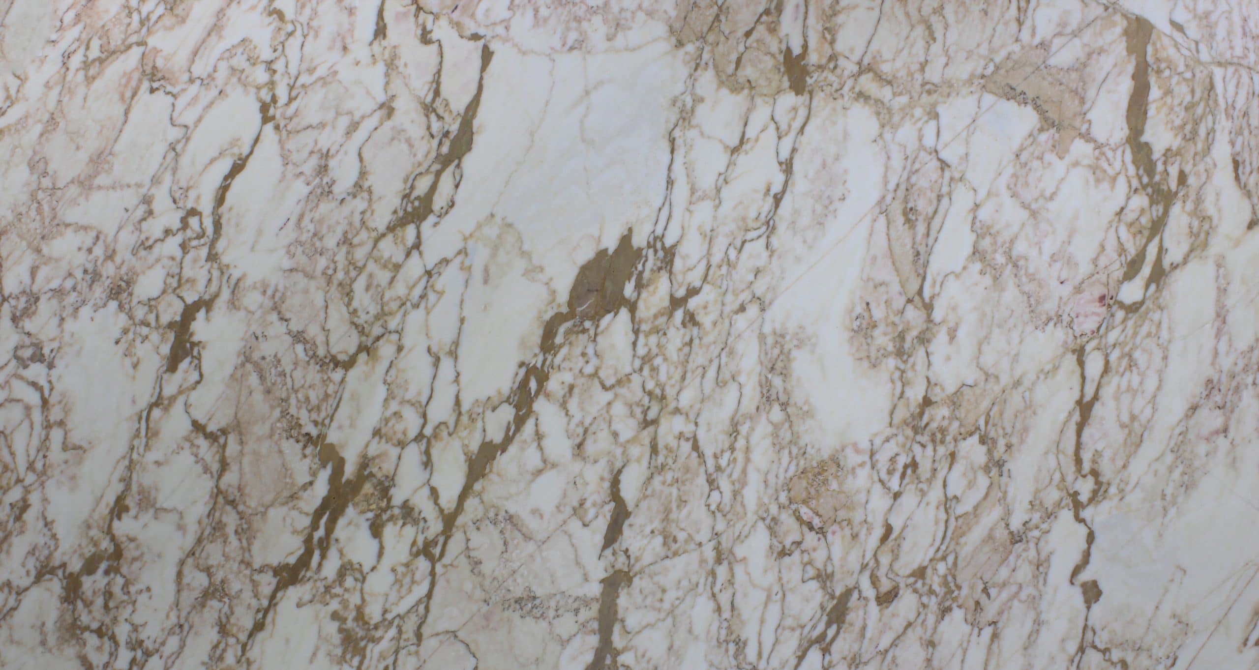 Close-up of polished marble surface with brown veins.