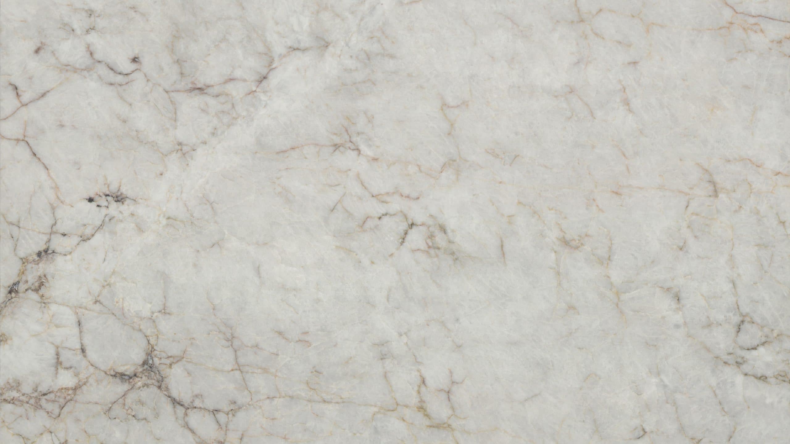 Close-up of white marble texture with veins.