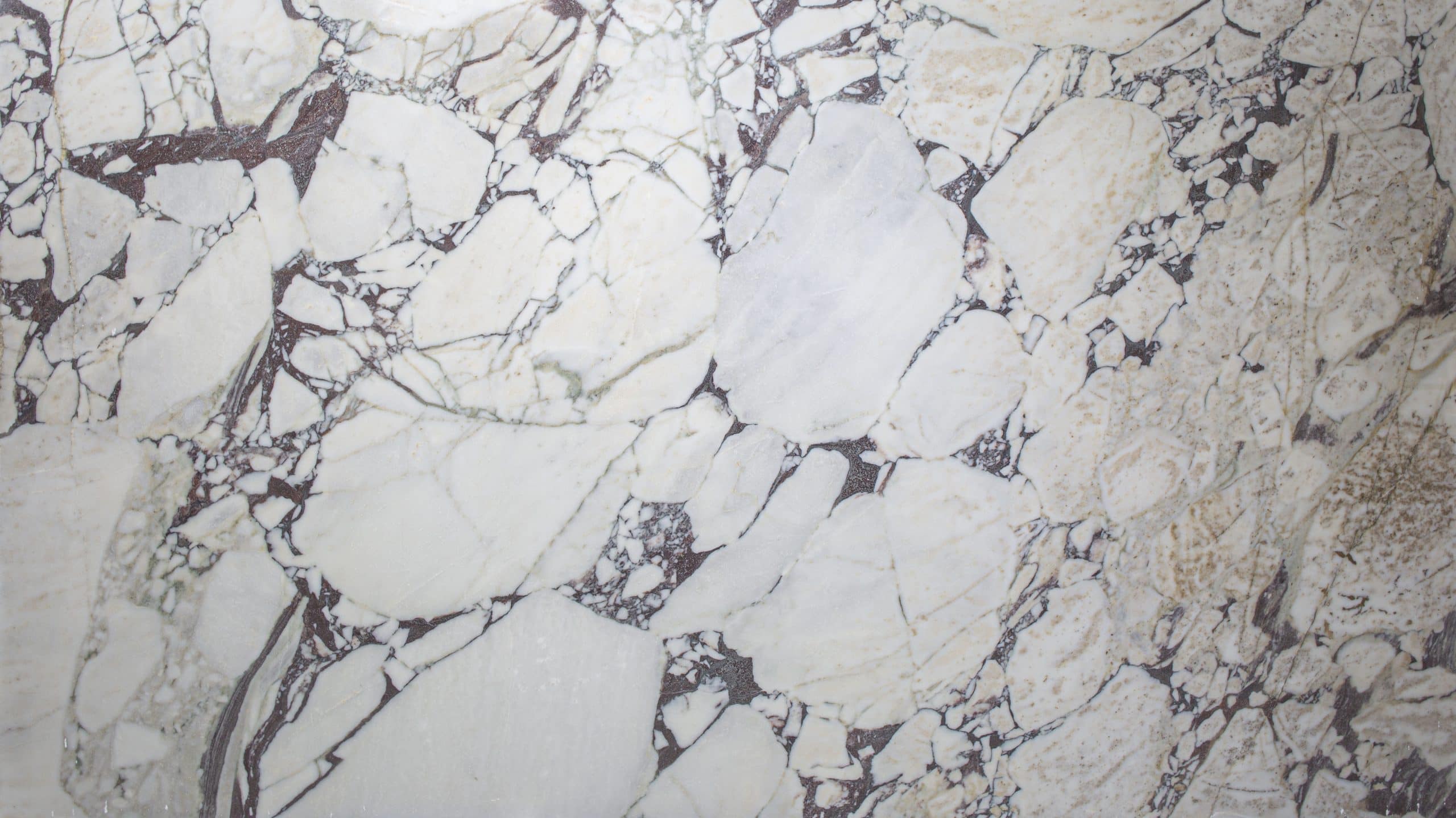 Polished white marble with dark vein patterns