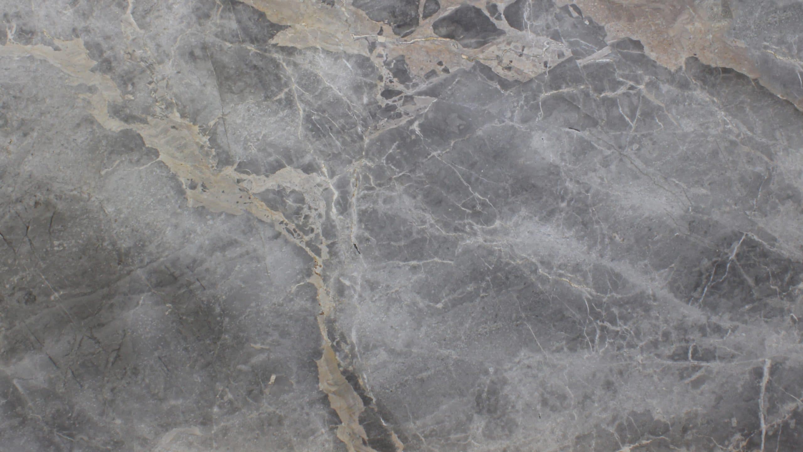Close-up of gray marble texture with veins.