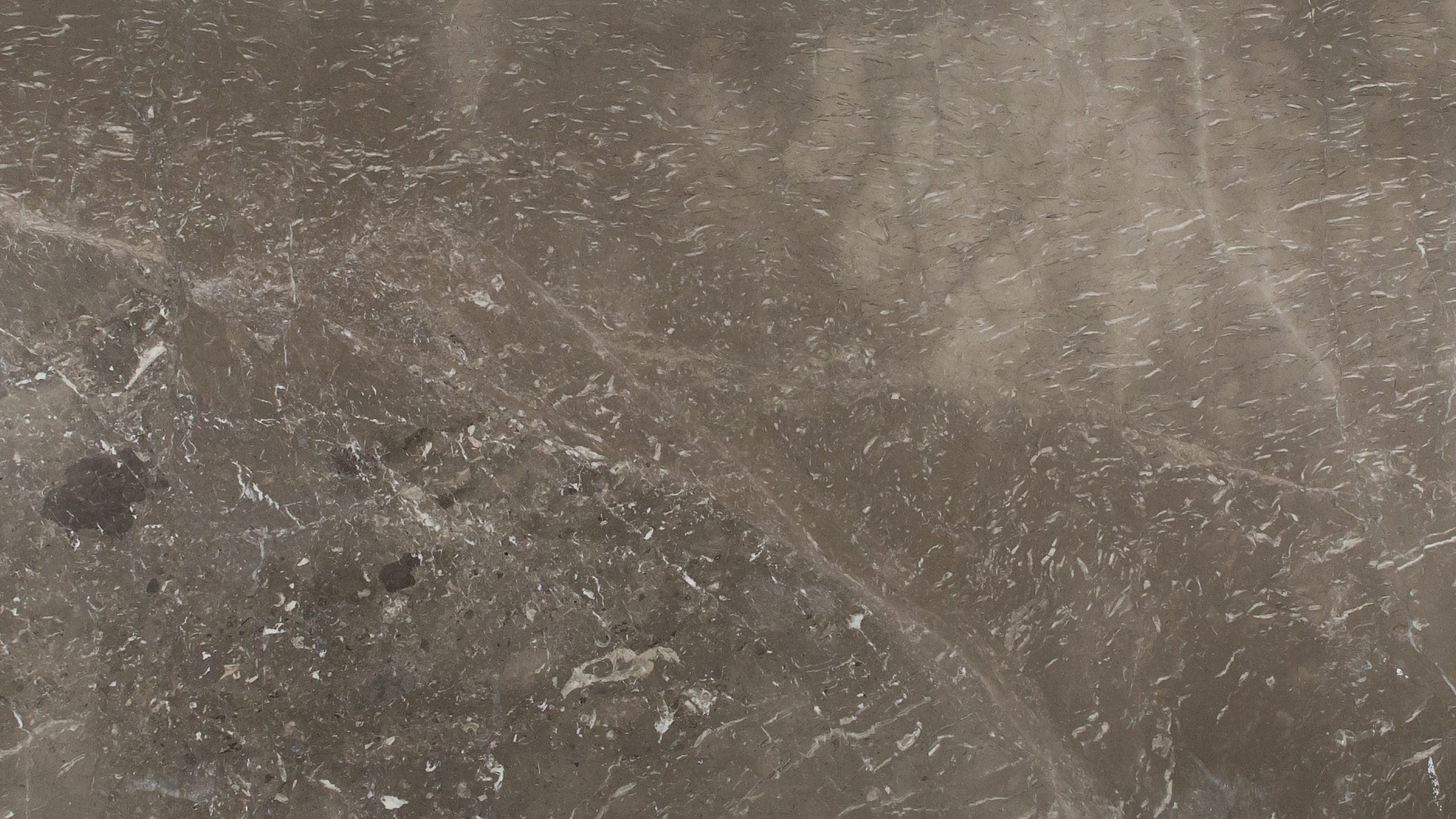Close-up of polished brown marble texture