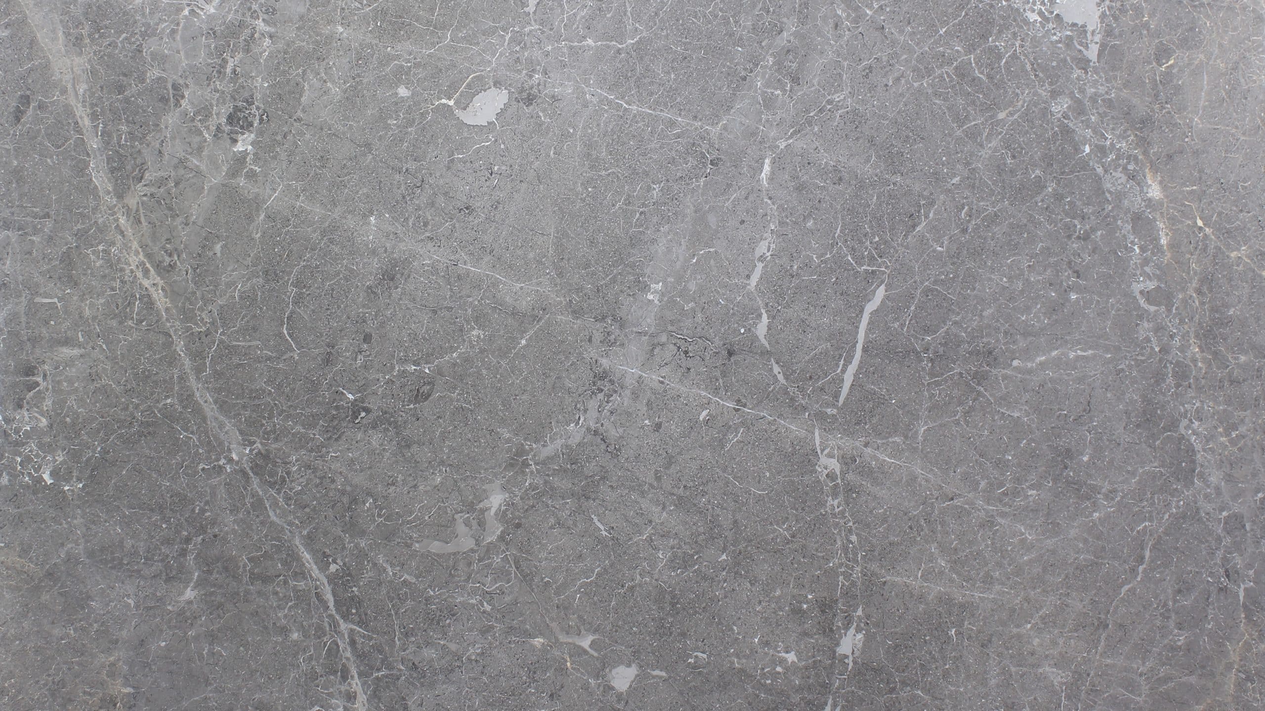 Gray marble texture with natural veining patterns.