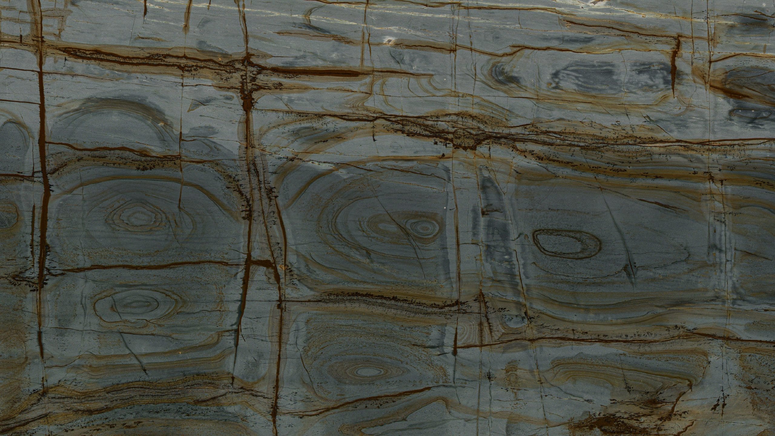 Close-up of textured stone surface with natural patterns.