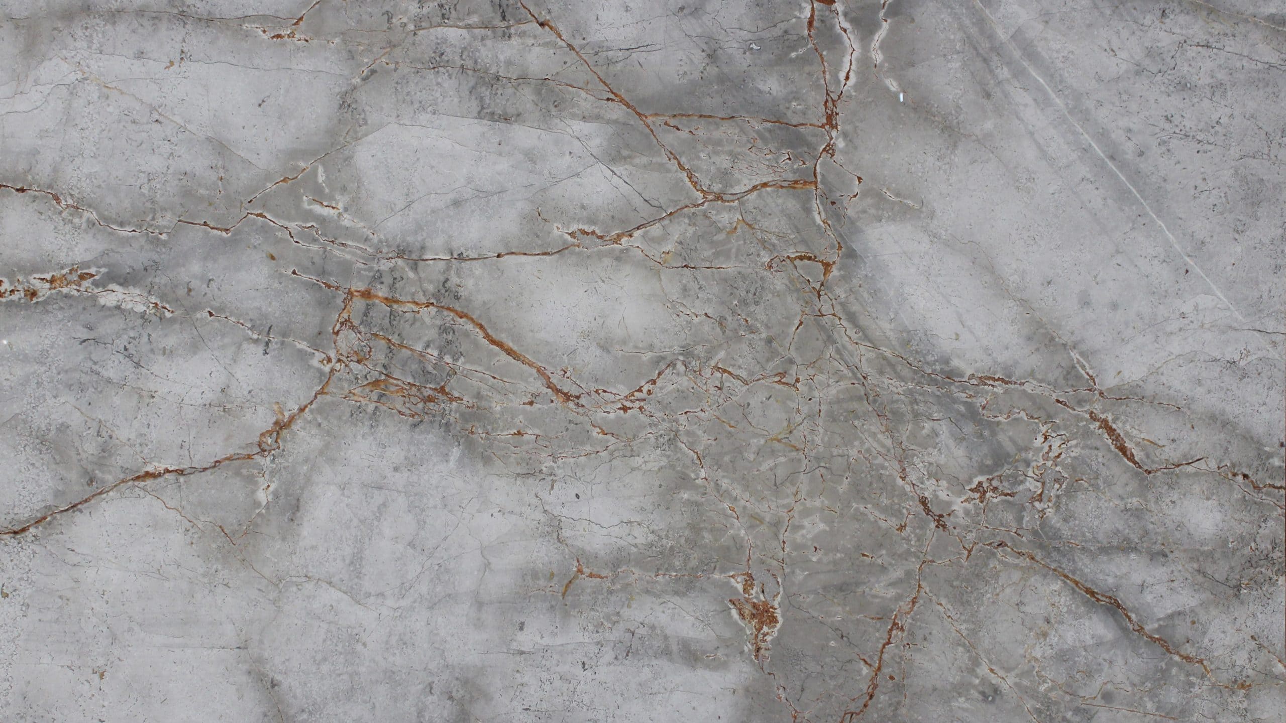 Close-up of textured gray marble with veins.