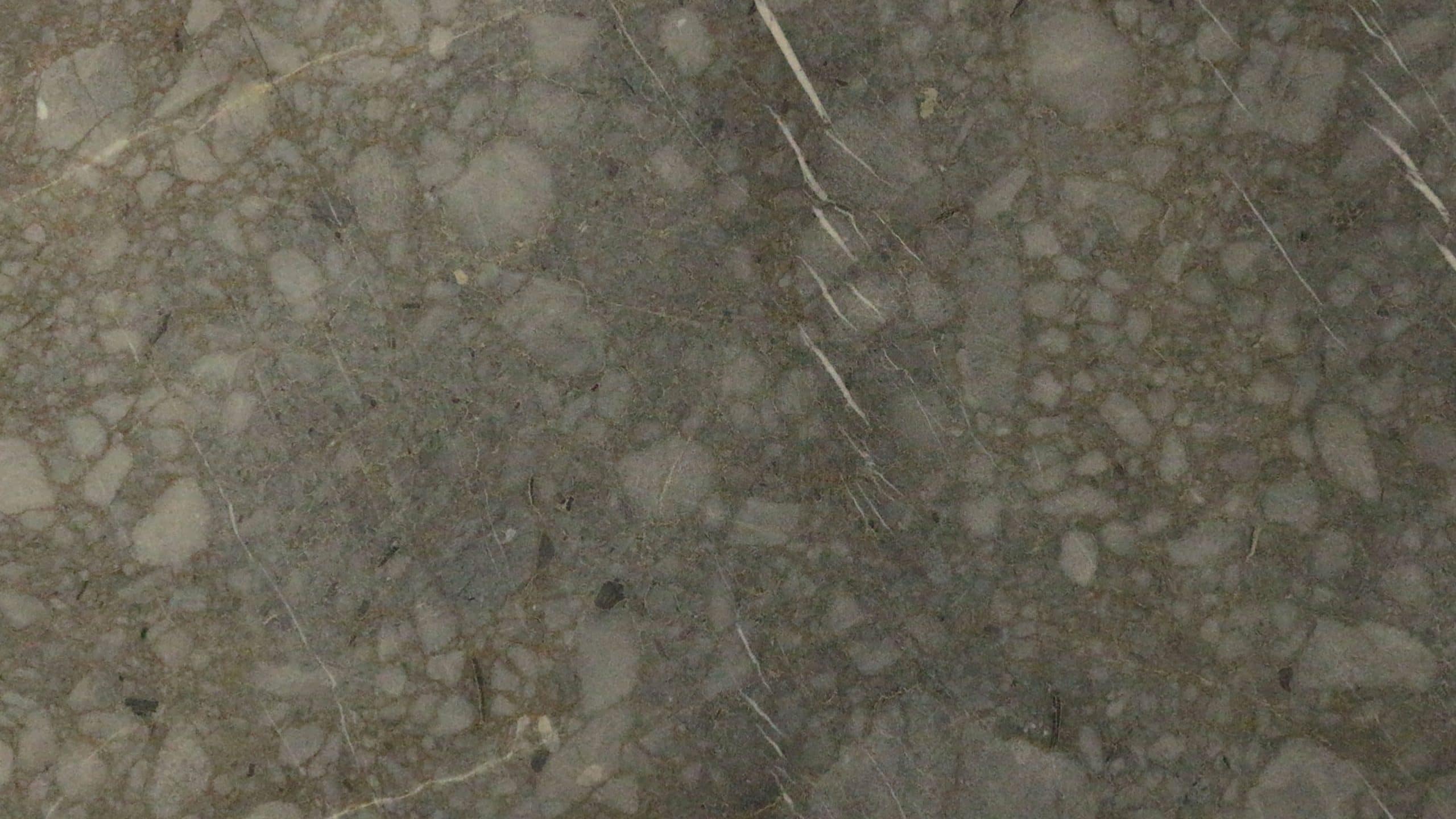 Close-up of textured gray stone surface.