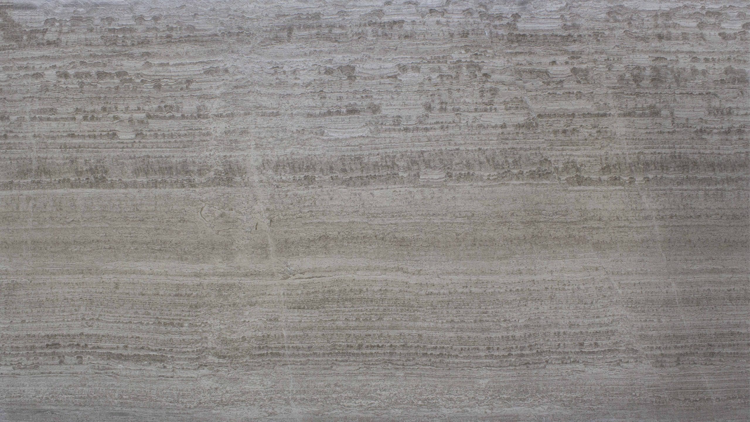 Close-up of textured gray stone surface.