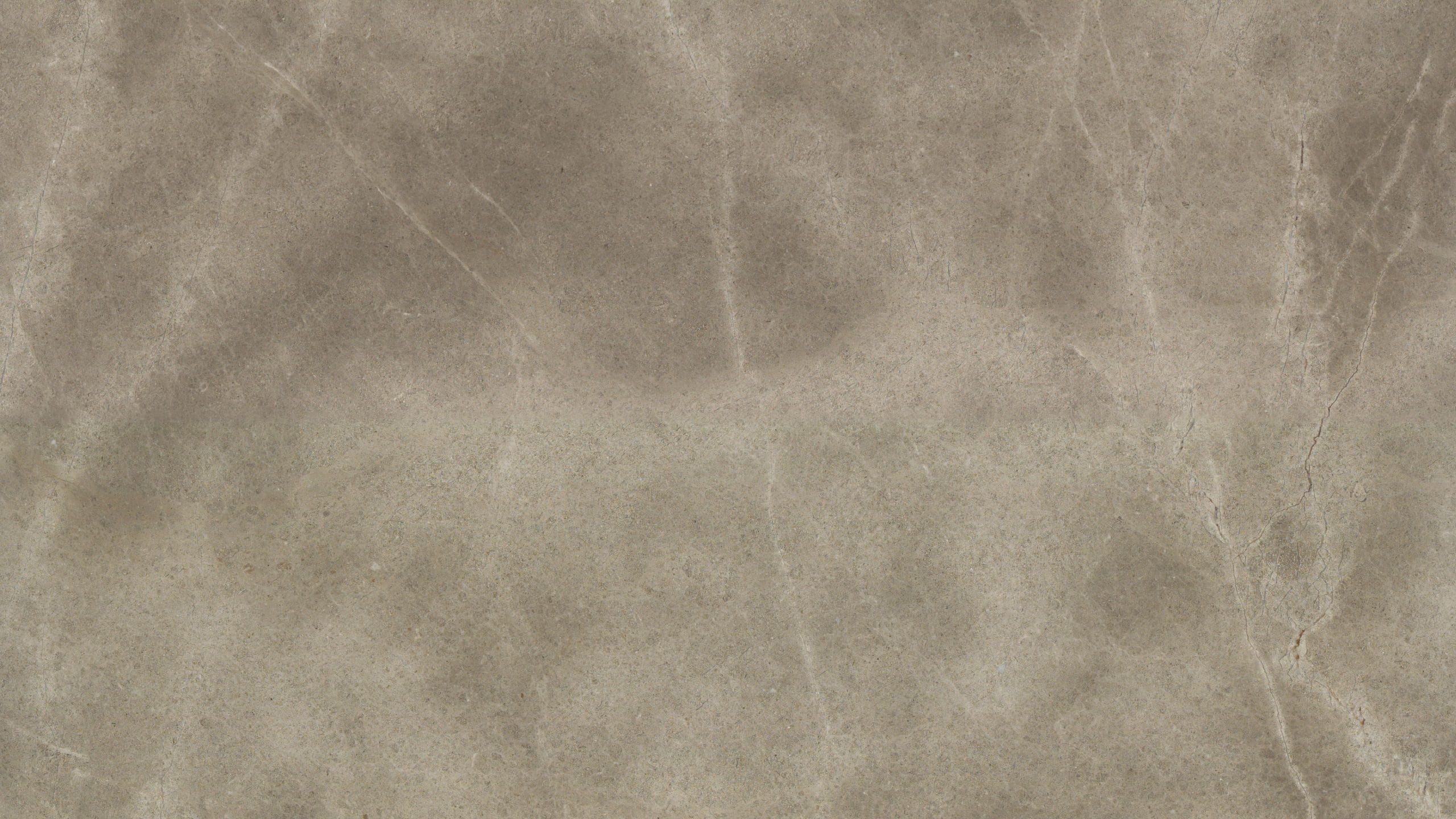 Detailed stone texture with natural patterns