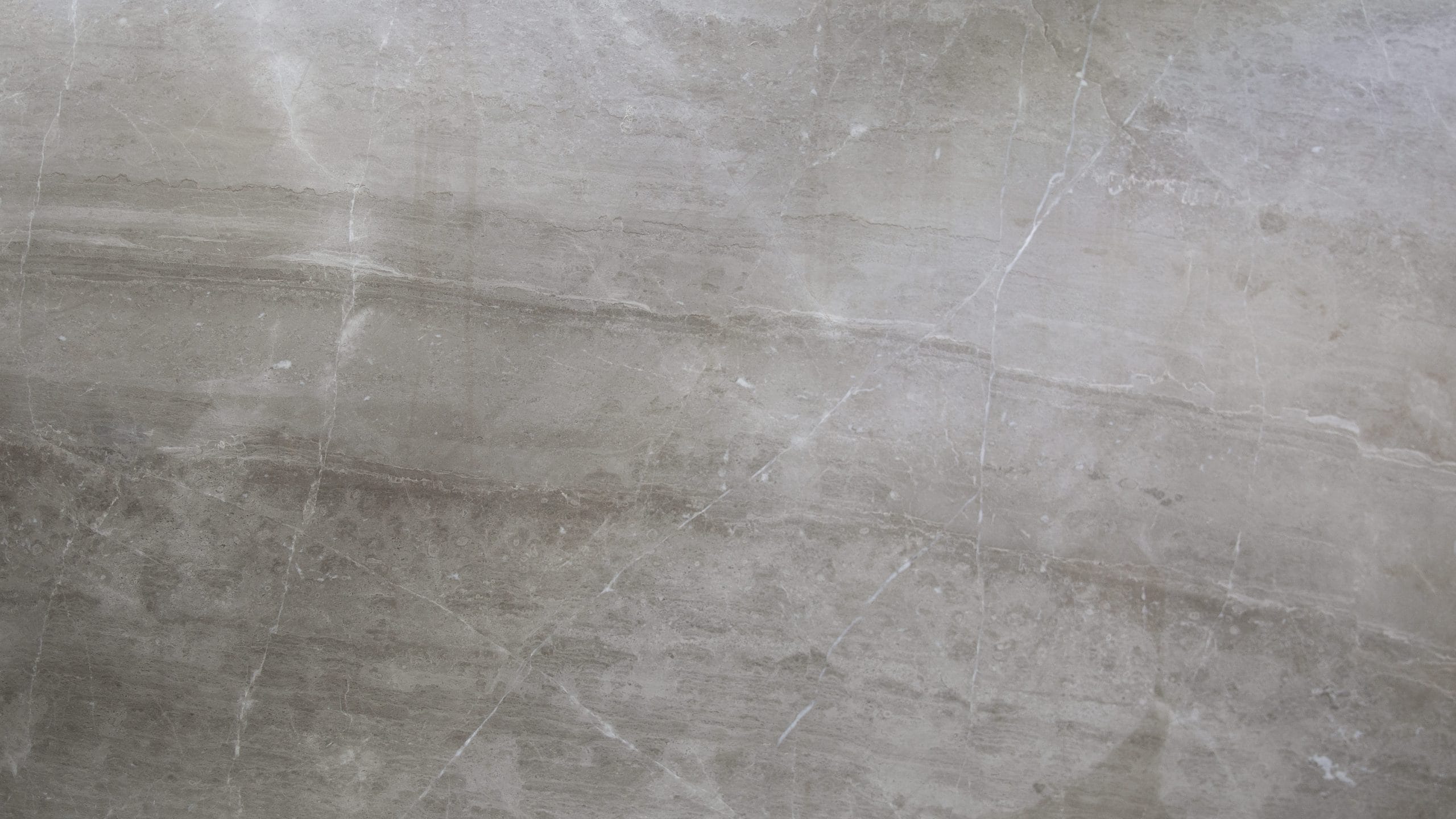 Close-up of gray marble texture with veins.