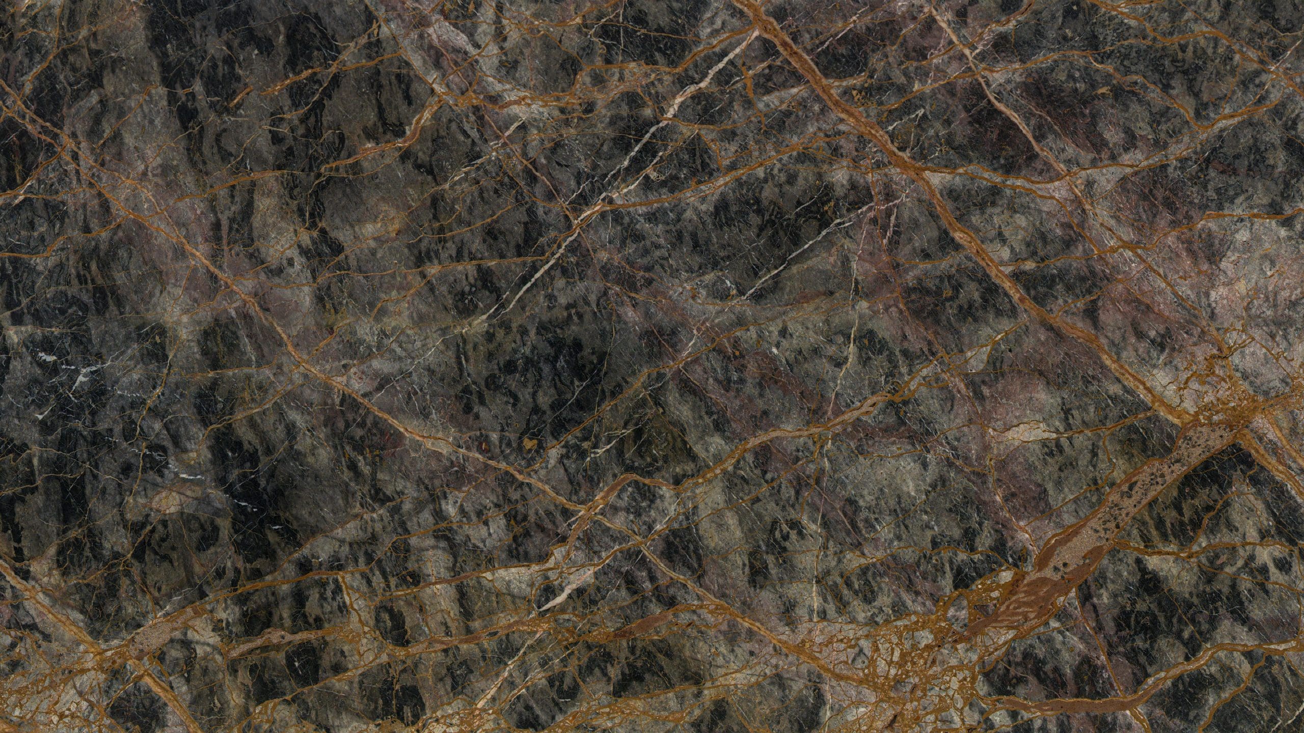 Close-up of a textured stone surface with veins.