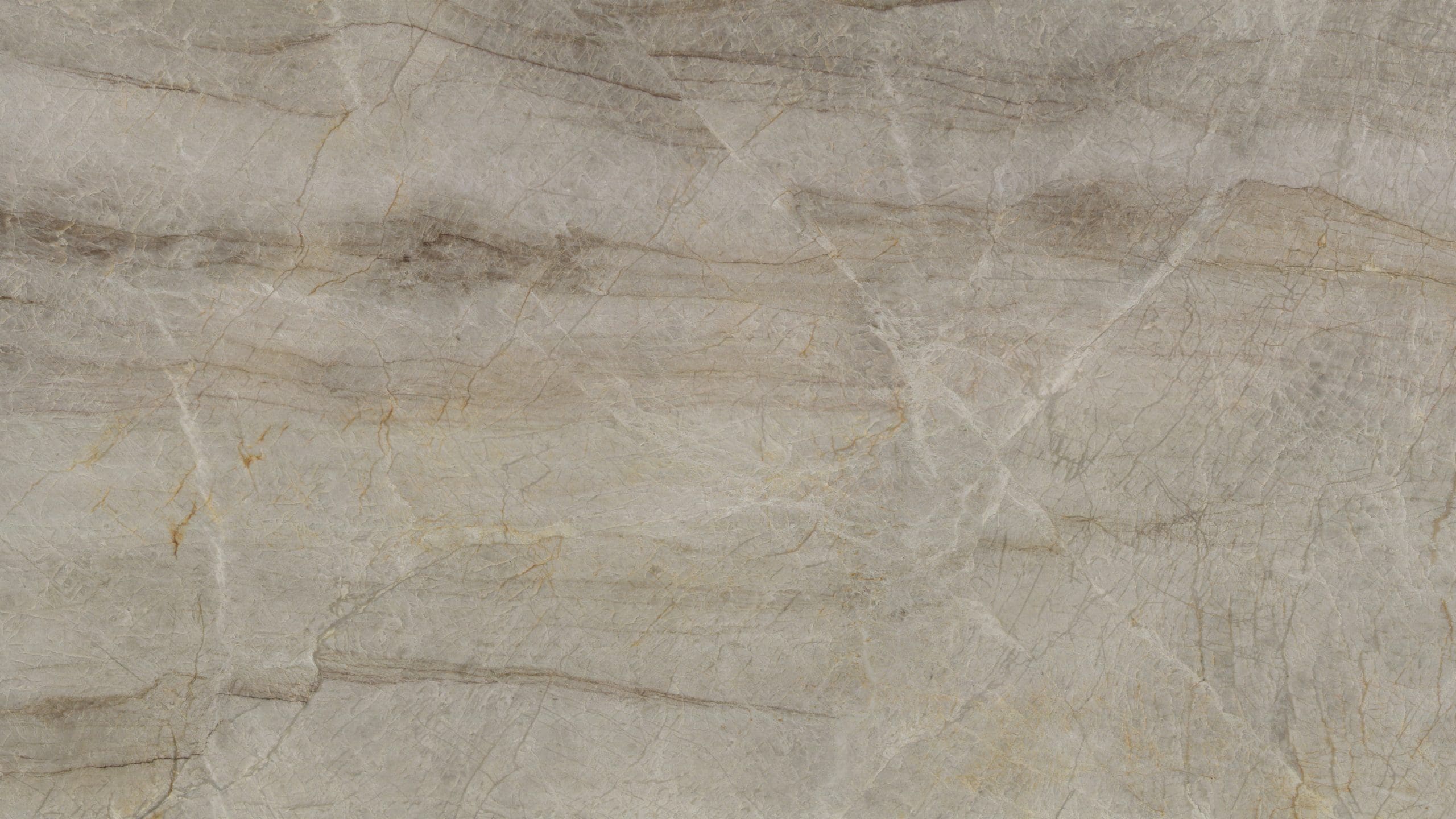 Textured gray and brown marble surface