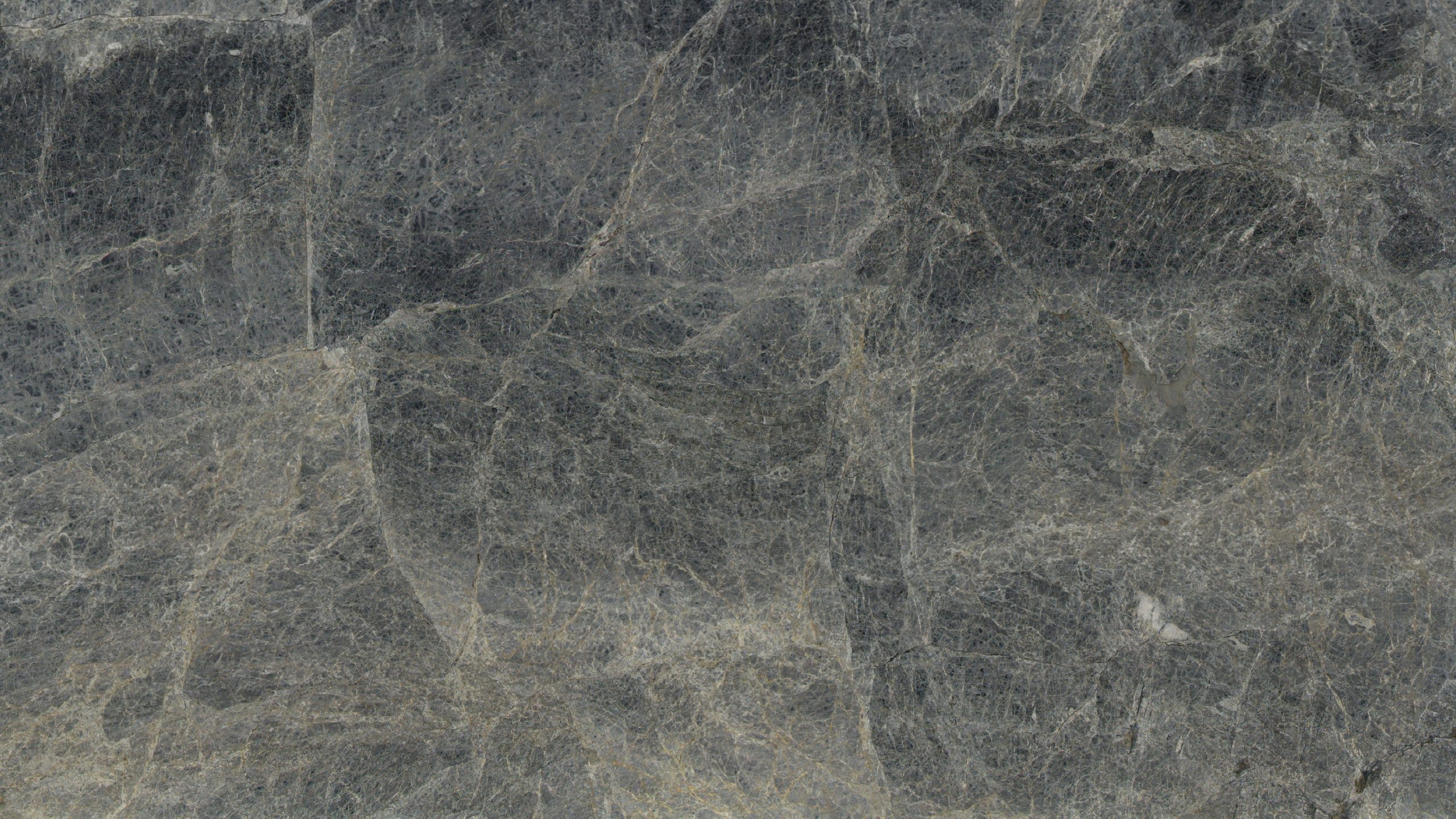 Close-up of gray textured stone surface.