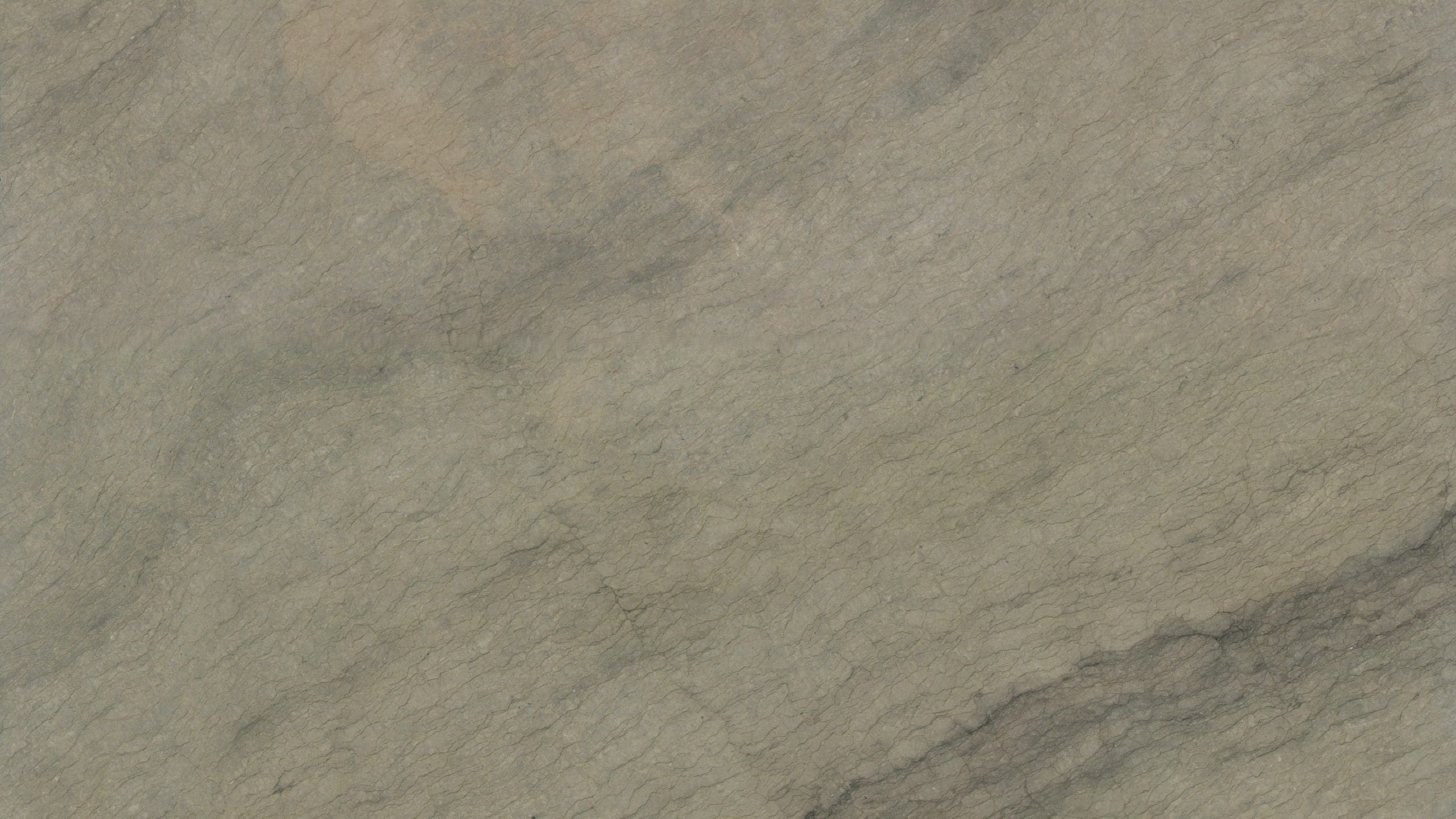 Close-up of textured stone surface