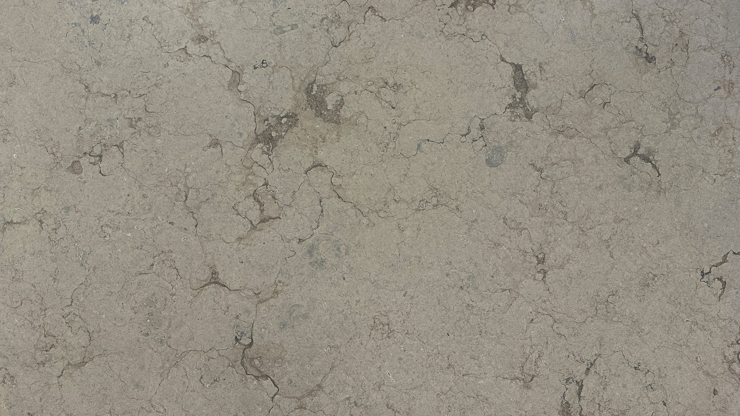 Close-up of cracked, weathered stone surface texture.