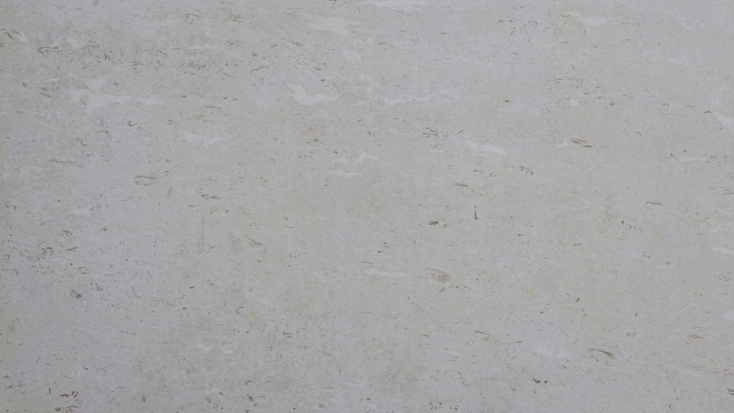Close-up of light gray textured stone surface