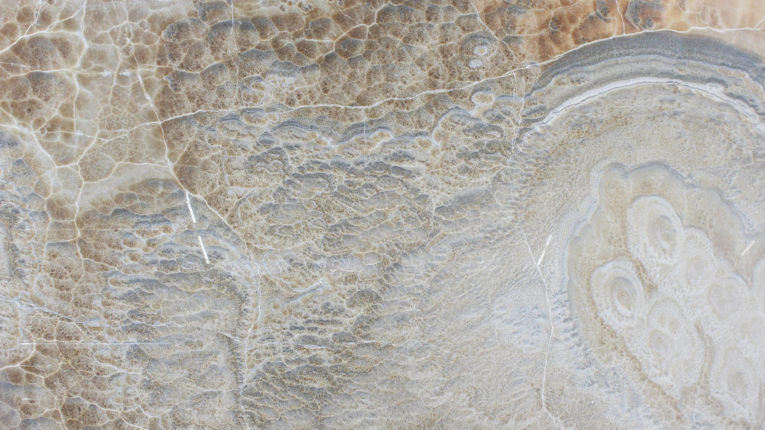 Close-up of natural stone texture with beige patterns.
