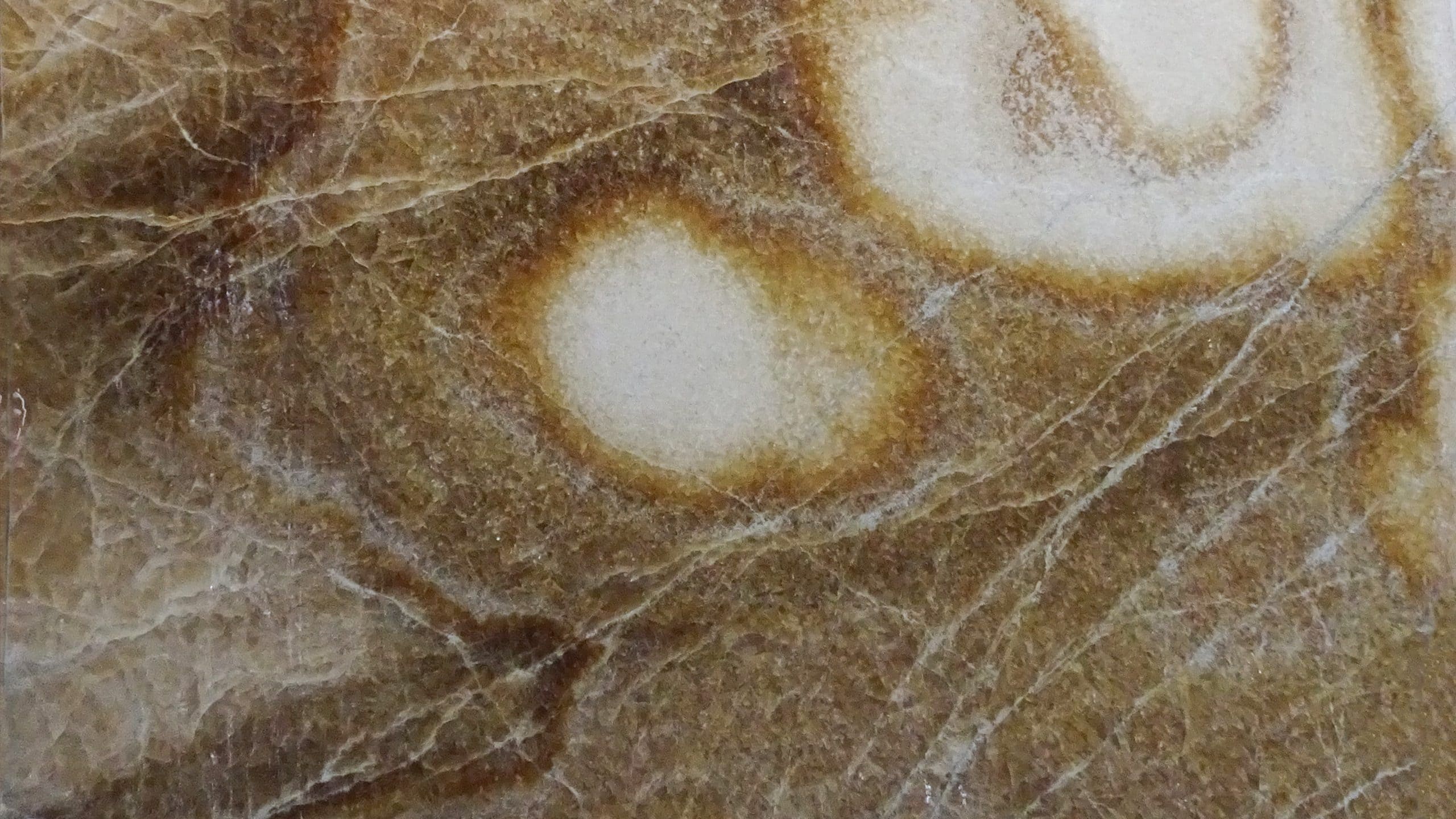 Close-up of textured brown and white stone surface.