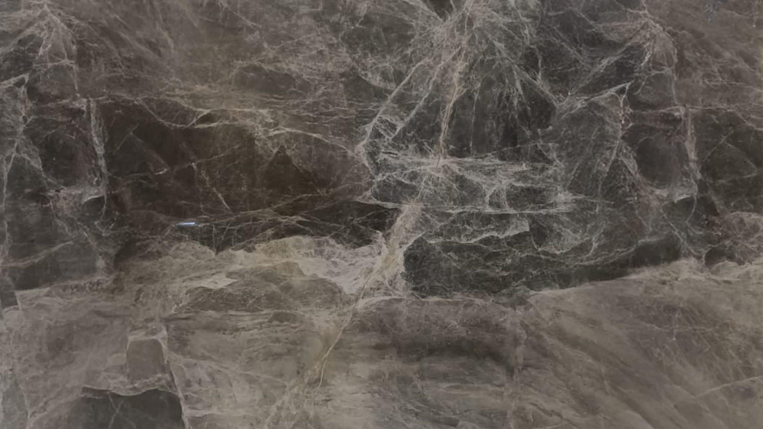 Close-up of dark marble texture with veins.
