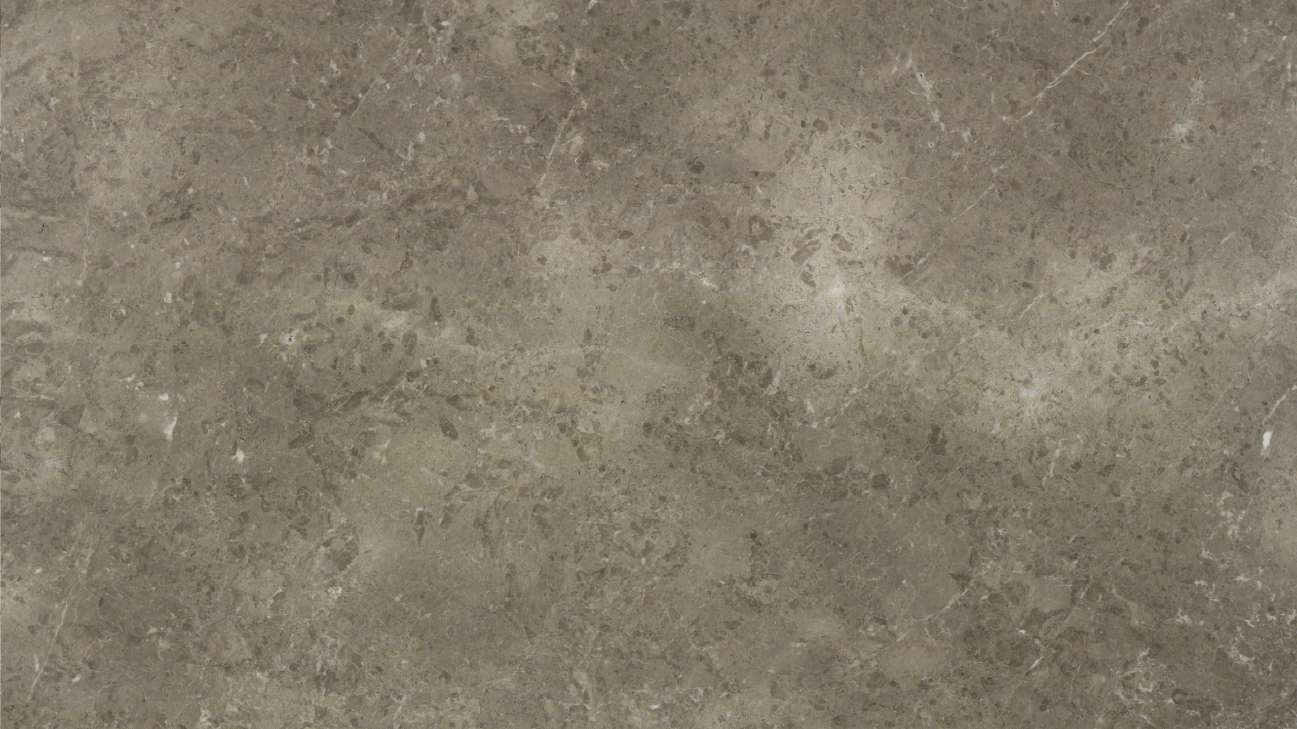 Polished gray marble surface with natural patterns.