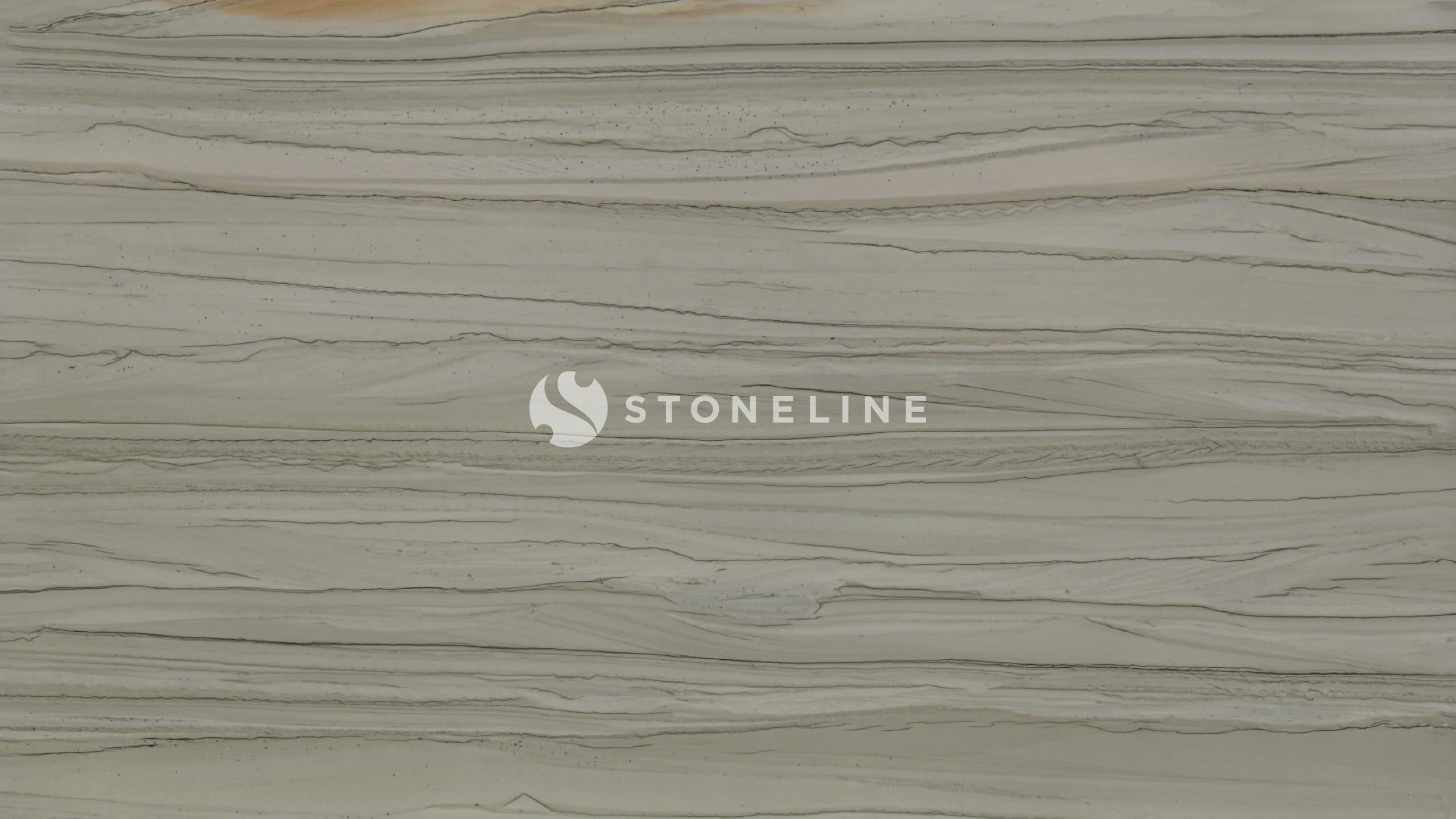 Close-up of layered sedimentary rock texture