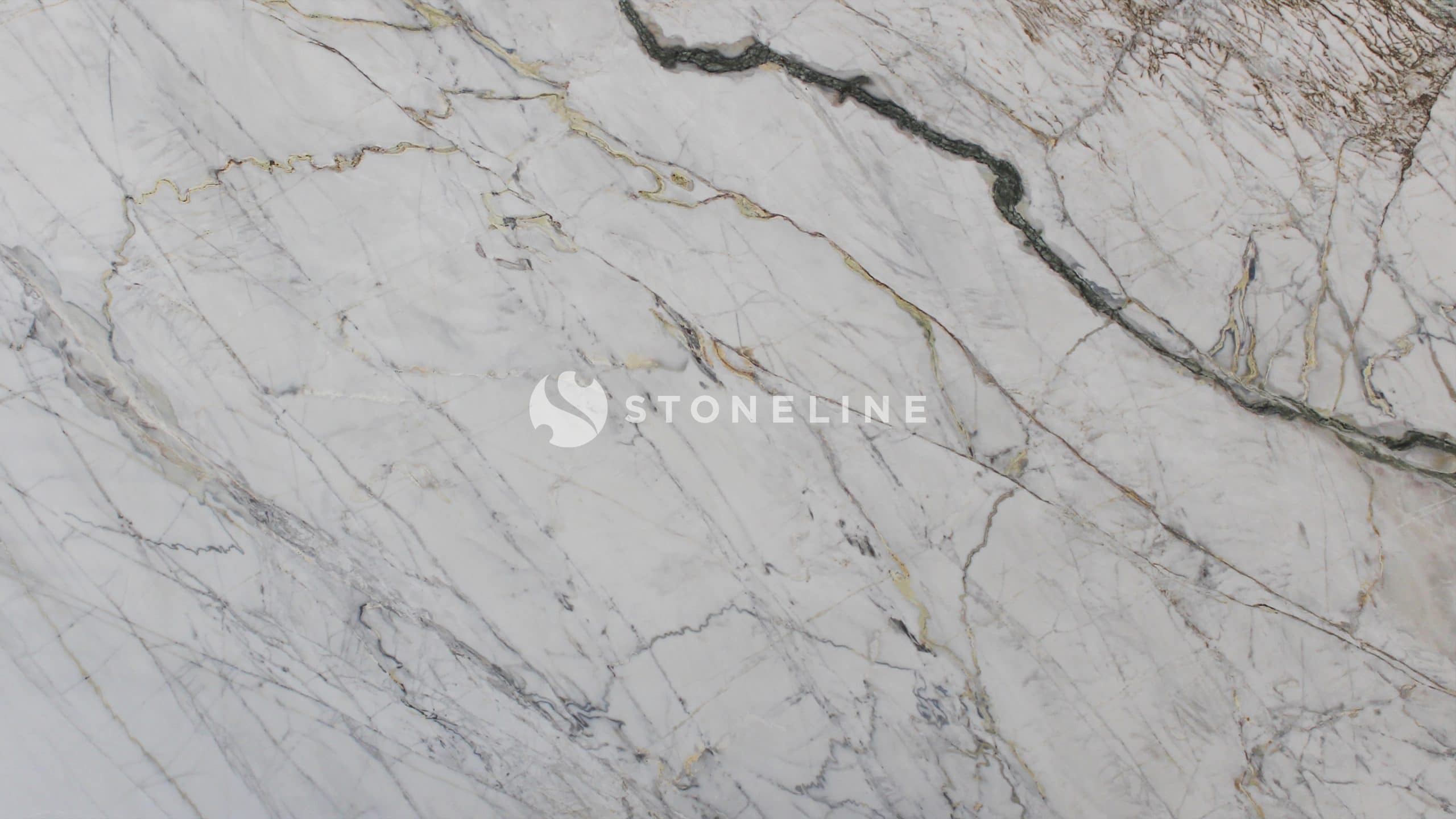 White marble texture with dark veins