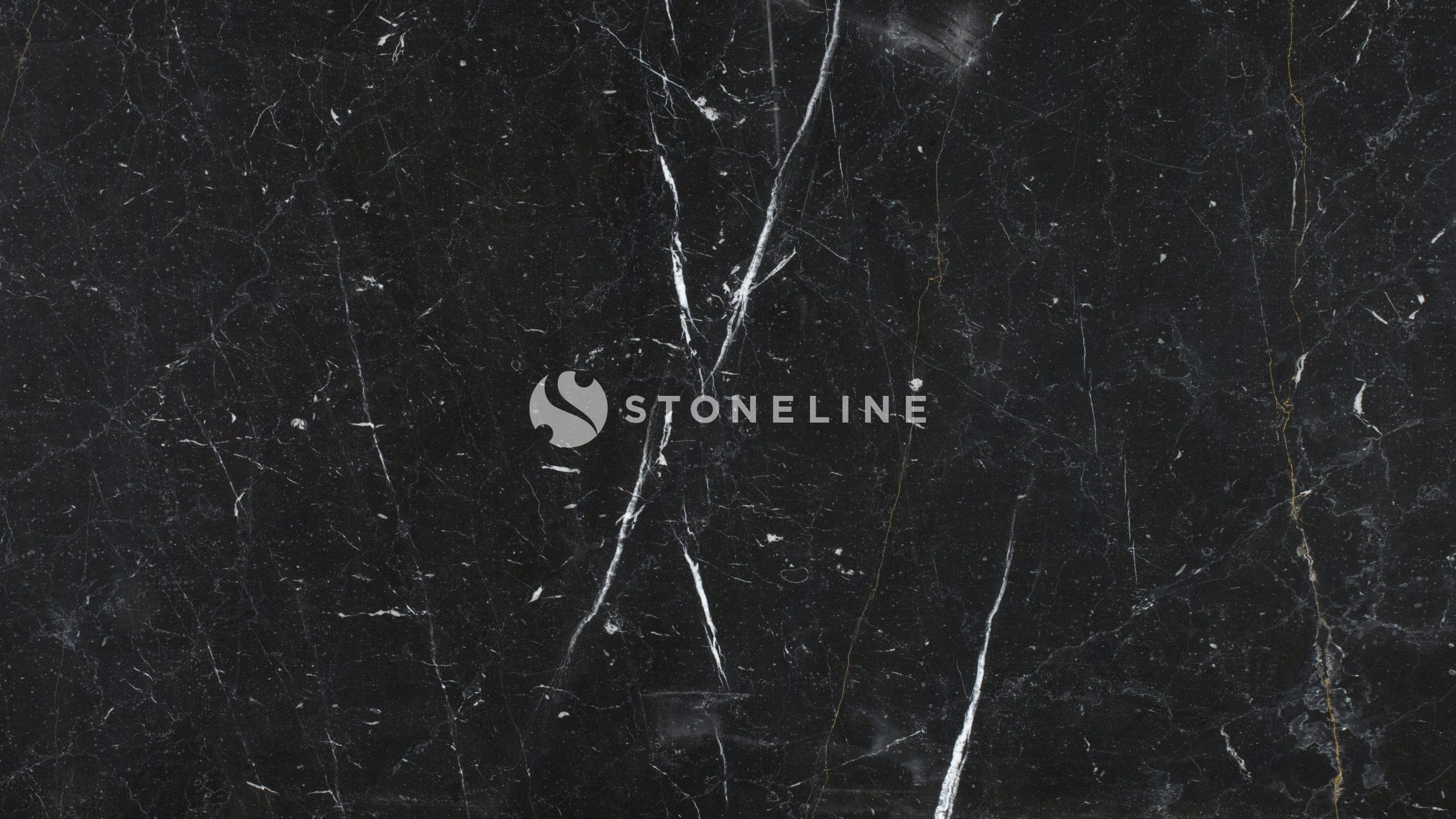 Black marble texture with white veining