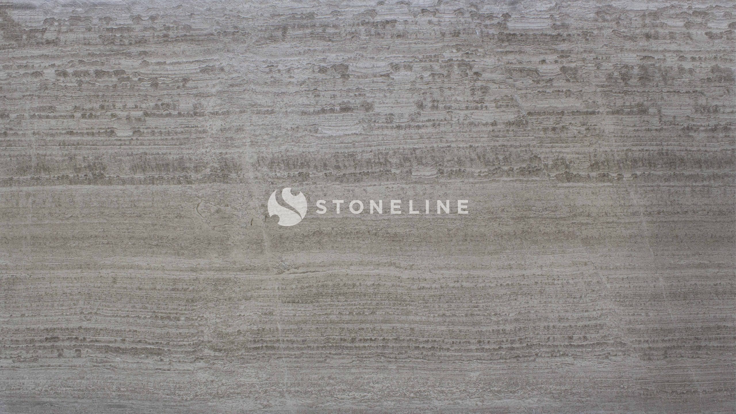 Close-up of textured gray stone surface.