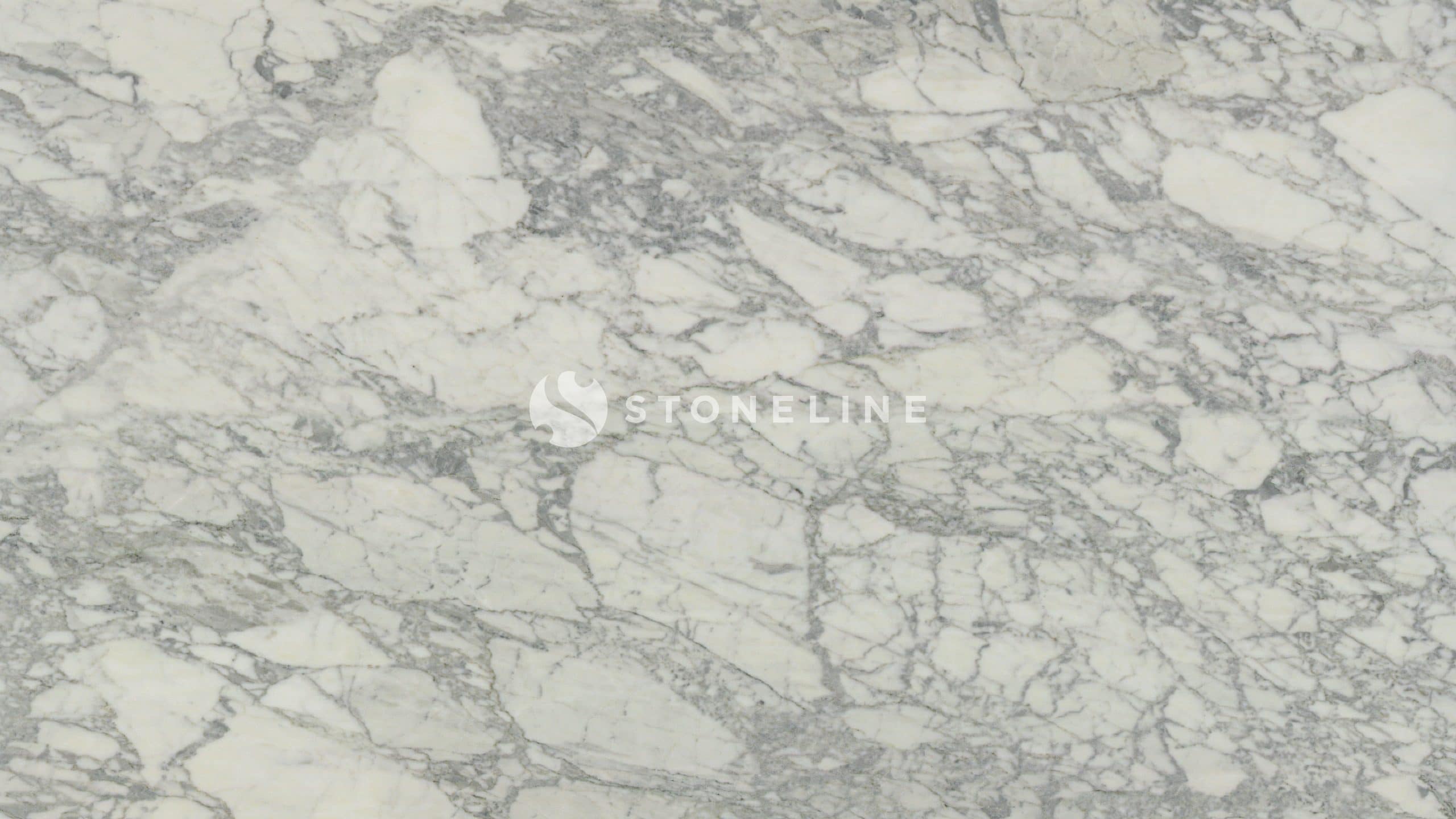 White marble texture with gray veining