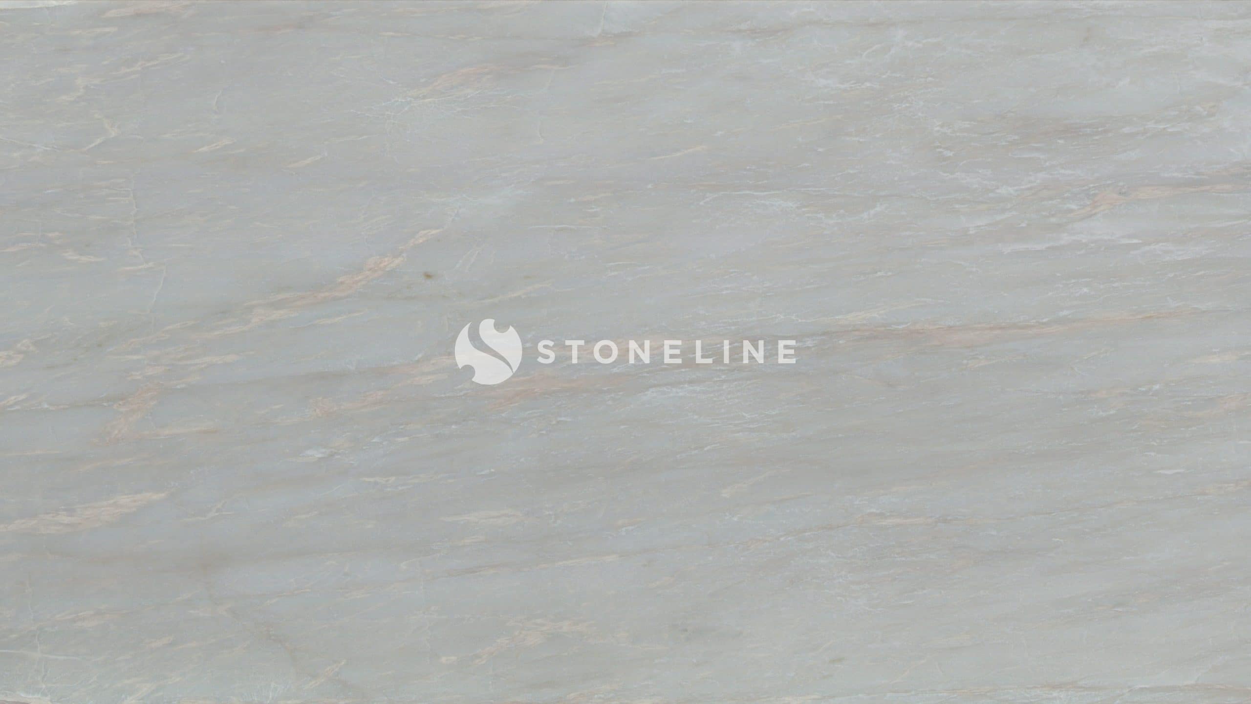 Gray and white marble texture close-up