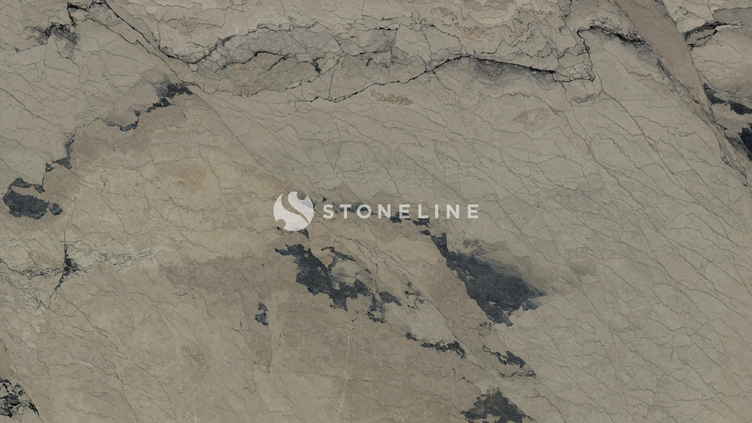 Close-up of textured, cracked rocky surface