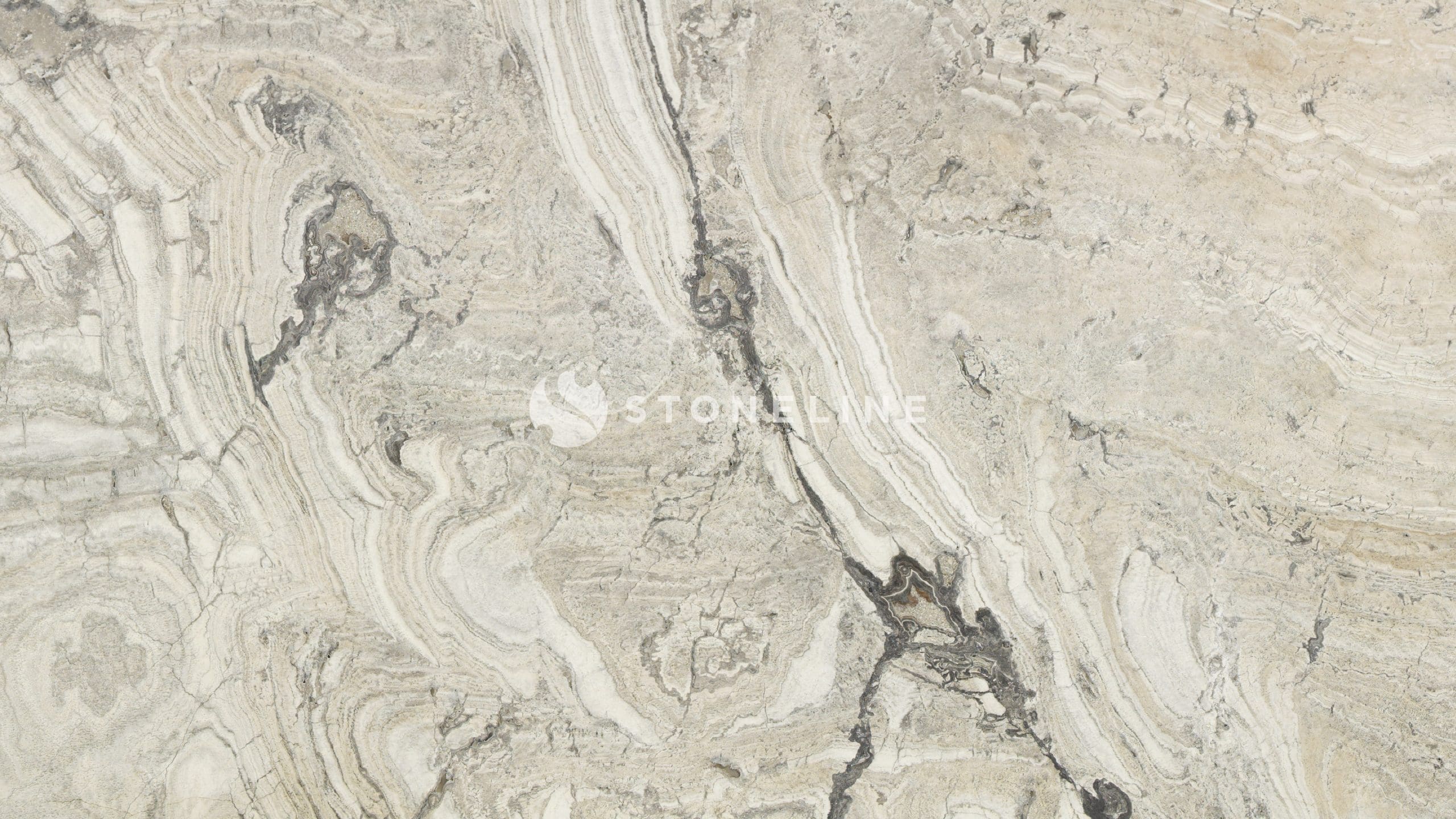 Close-up of textured marble surface with veins