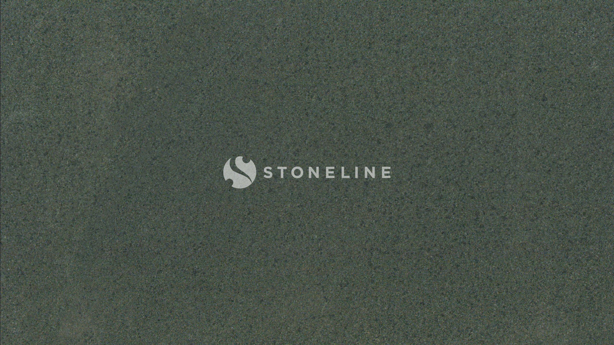 Close-up of dark green textured surface