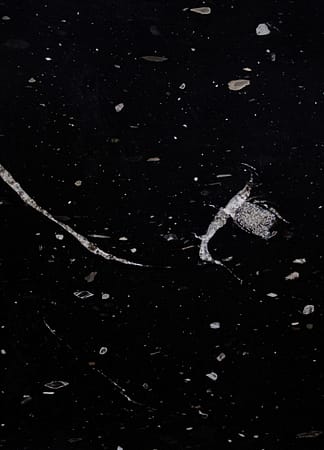 Dark marble texture with light veins and speckles.