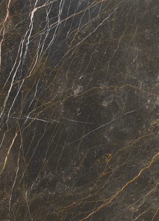 Dark marble with intricate white and gold veining.