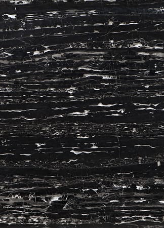 Polished black marble with white veins texture.