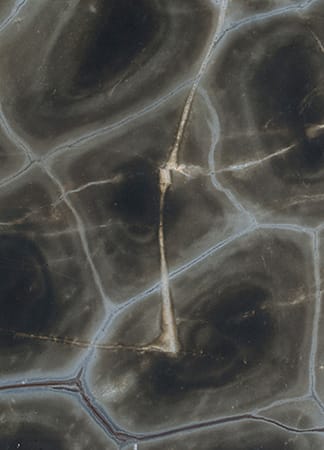 Aerial view of salt flat patterns.