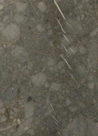 Close-up of textured gray stone surface.